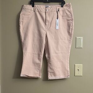 Light Pink Cropped Pants